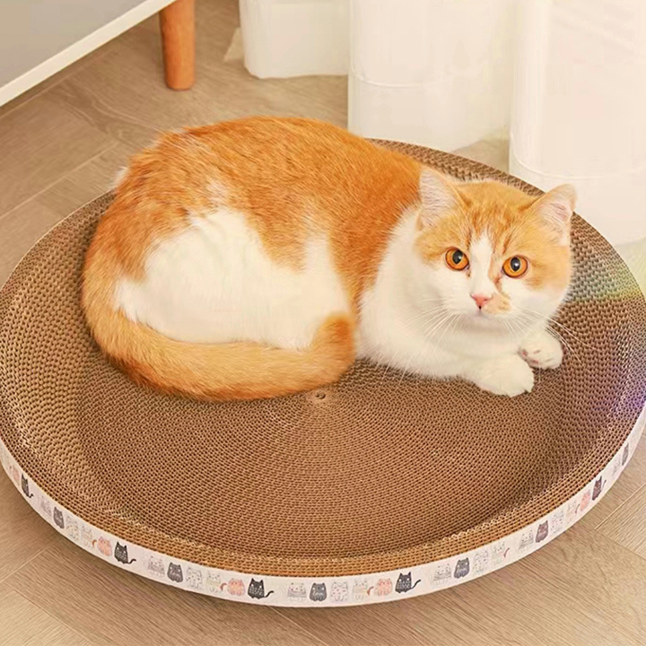  ถูกที่สุด ที่ลับเล็บแมว ที่ฝนเล็บแมว CHEAPEST!!! CAT SCRATCH BED with CATNIP Cat scratch board  Scratching Bowl