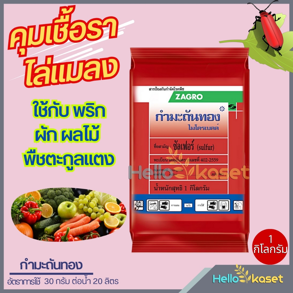 กำมะถันทอง ซัลเฟอร์ ป้องกันกำจัดโรคพืช ป้องกันกำจัดศัตรูพืช คุมเชื้อรา โรคราแป้ง โรคสแค็ป 1 กิโลกรัม