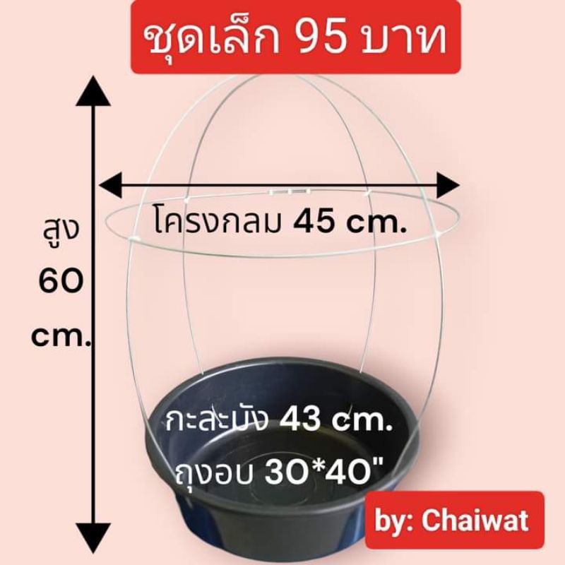 กระโจม อบ บอนสี ไซส์เล็ก