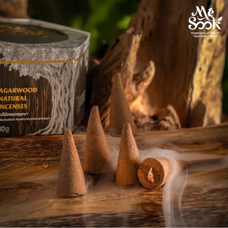 Mesook Agarwood Natural Incenses ธูปแก่นไม้กฤษณา 9ดอกปิดทอง สักการะ องค์เทพ พระพิขเนศ