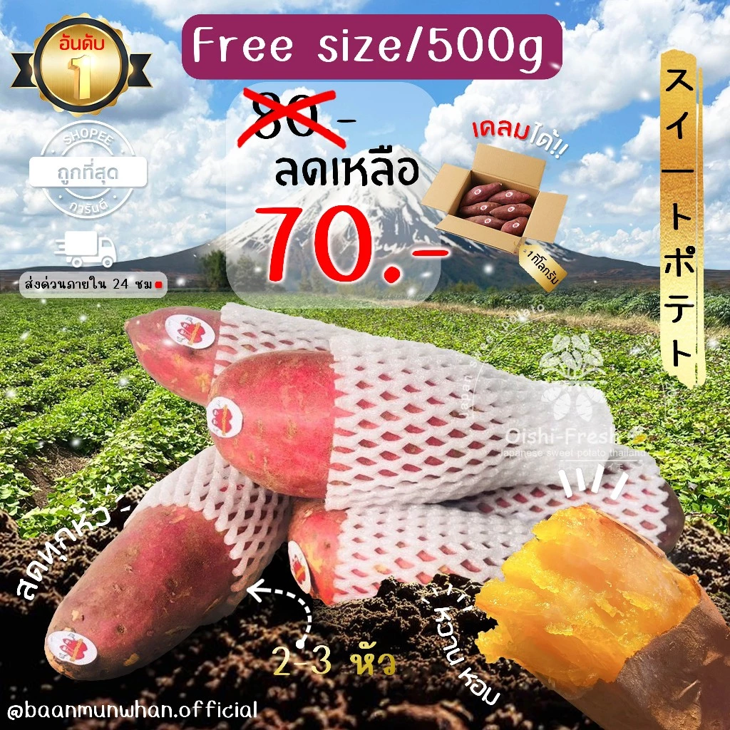 Oishi-Fresh มันหวานญี่ปุ่น Sweet potato เบนิฮารุกะ เนื้อเหลือง หอมหวาน อร่อย 500g.จัดส่ง 24 ชม.