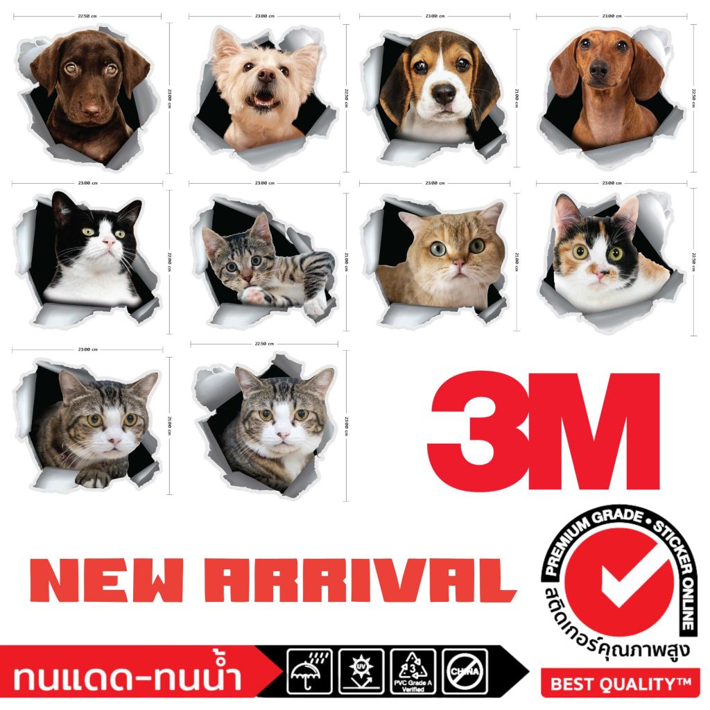 (021)สติ๊กเกอร์ 3D Dog Cat สติ๊กเกอร์ 3 มิติ หมา แมว จ๊ะเอ๋ ตกแต่งรถยนต์  ติดผนัง  ติดกระจก กันน้ำ ทนน้ำ ทนแดด