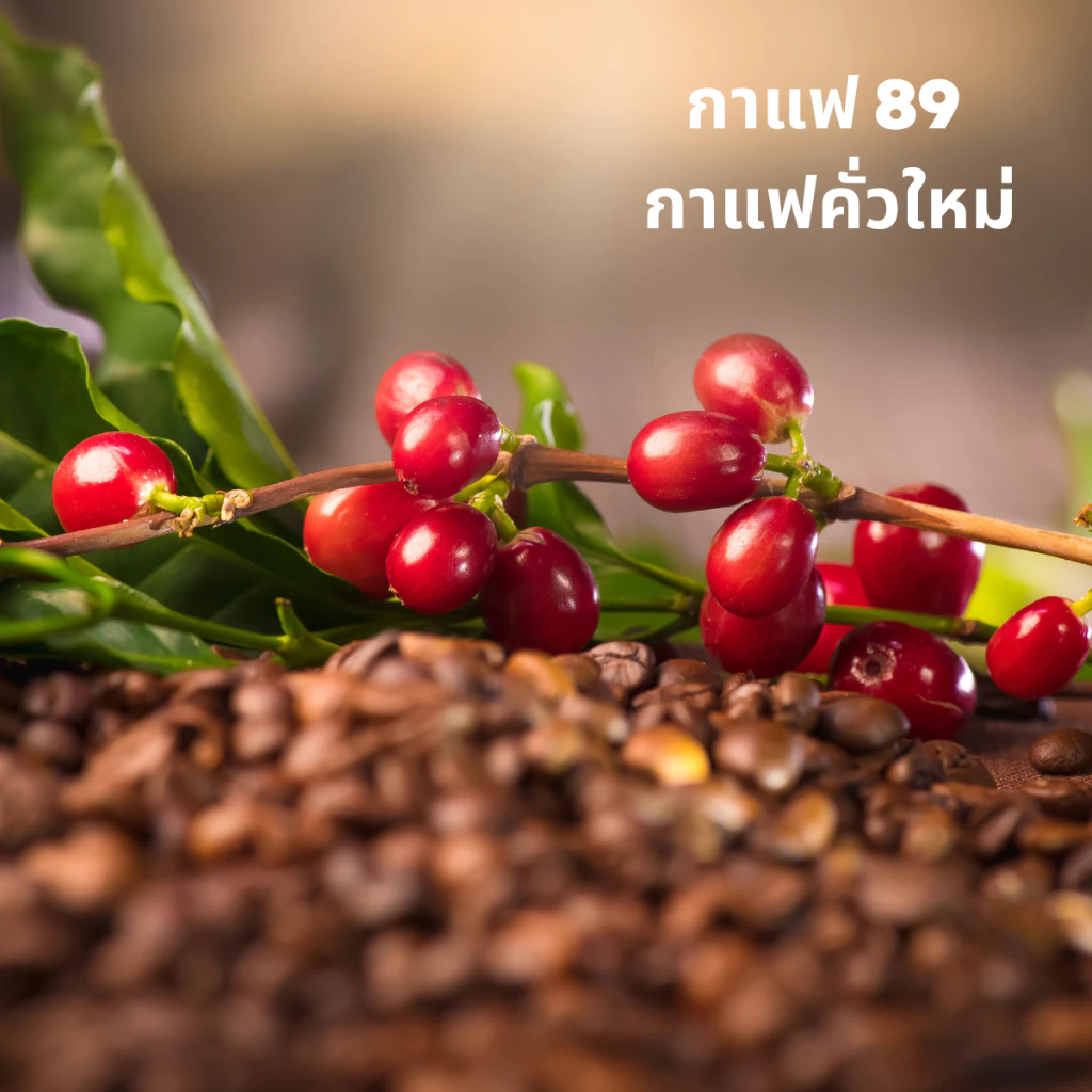กาแฟคั่วบด อาราบิก้า 100% | คั่วกลางเข้ม หอมสดใหม่ | ใช้ได้กับเครื่องชง ถุงกรอง กาแฟดริป  | คั่วหอมระดับพรีเมียม thumbnail 9