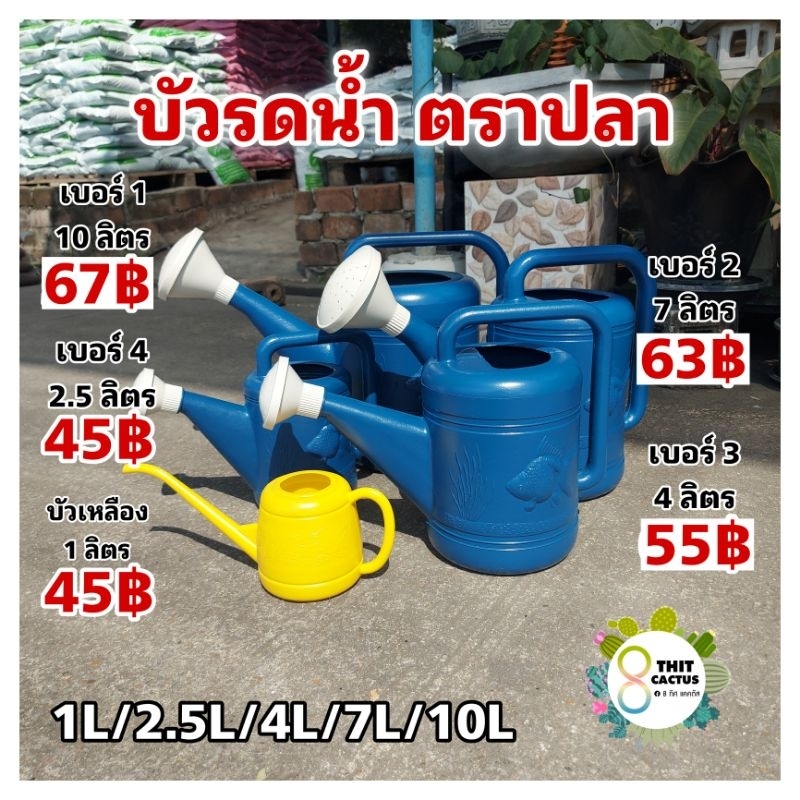 บัวรดน้ำพลาสติก ฝักบัวรดน้ำ ตราปลา 1ลิตร 3ลิตร 5ลิตร 7ลิตร 10ลิตร
