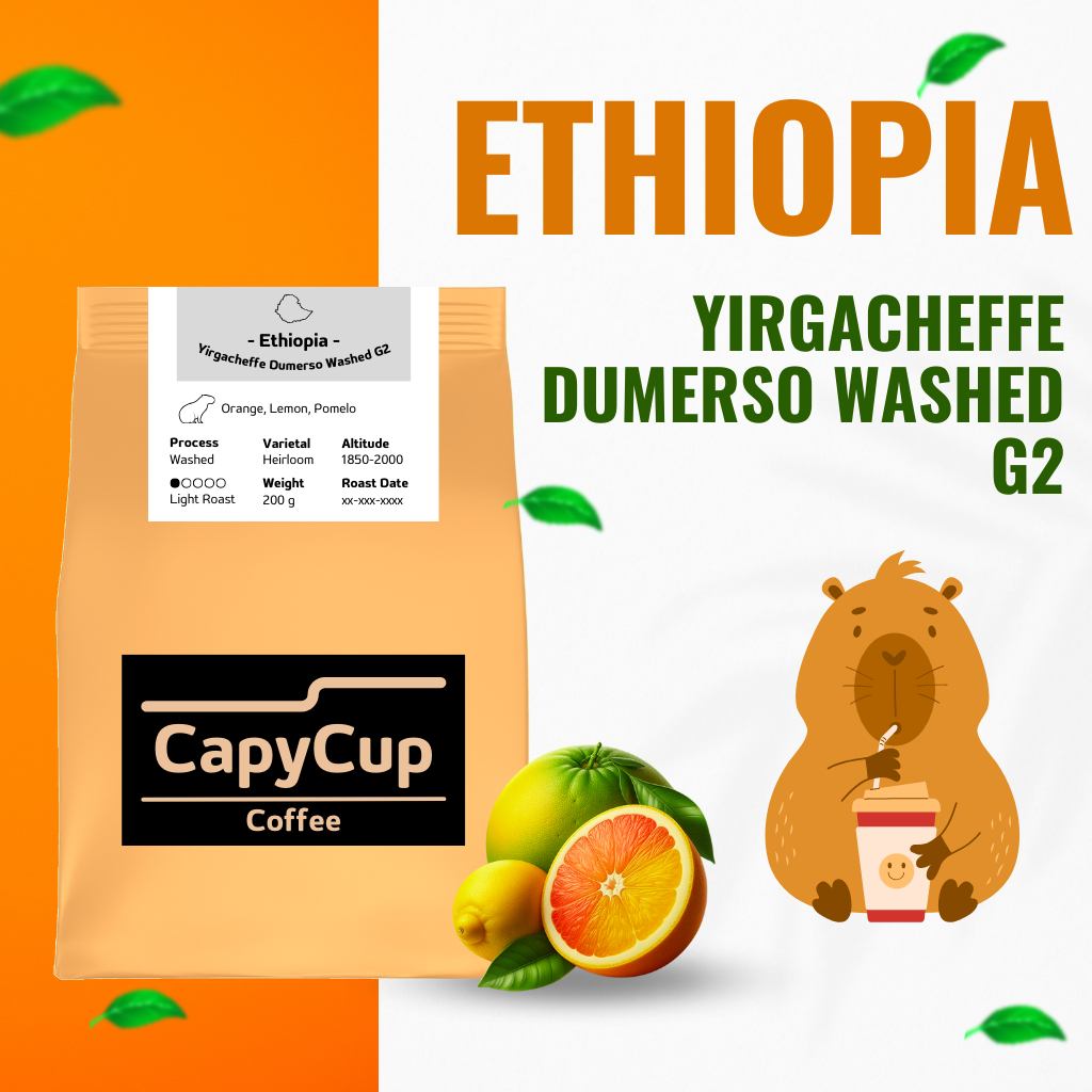 เมล็ดกาแฟ Ethiopia Yirgacheffe Dumerso Washed G2 - CapyCup Coffee