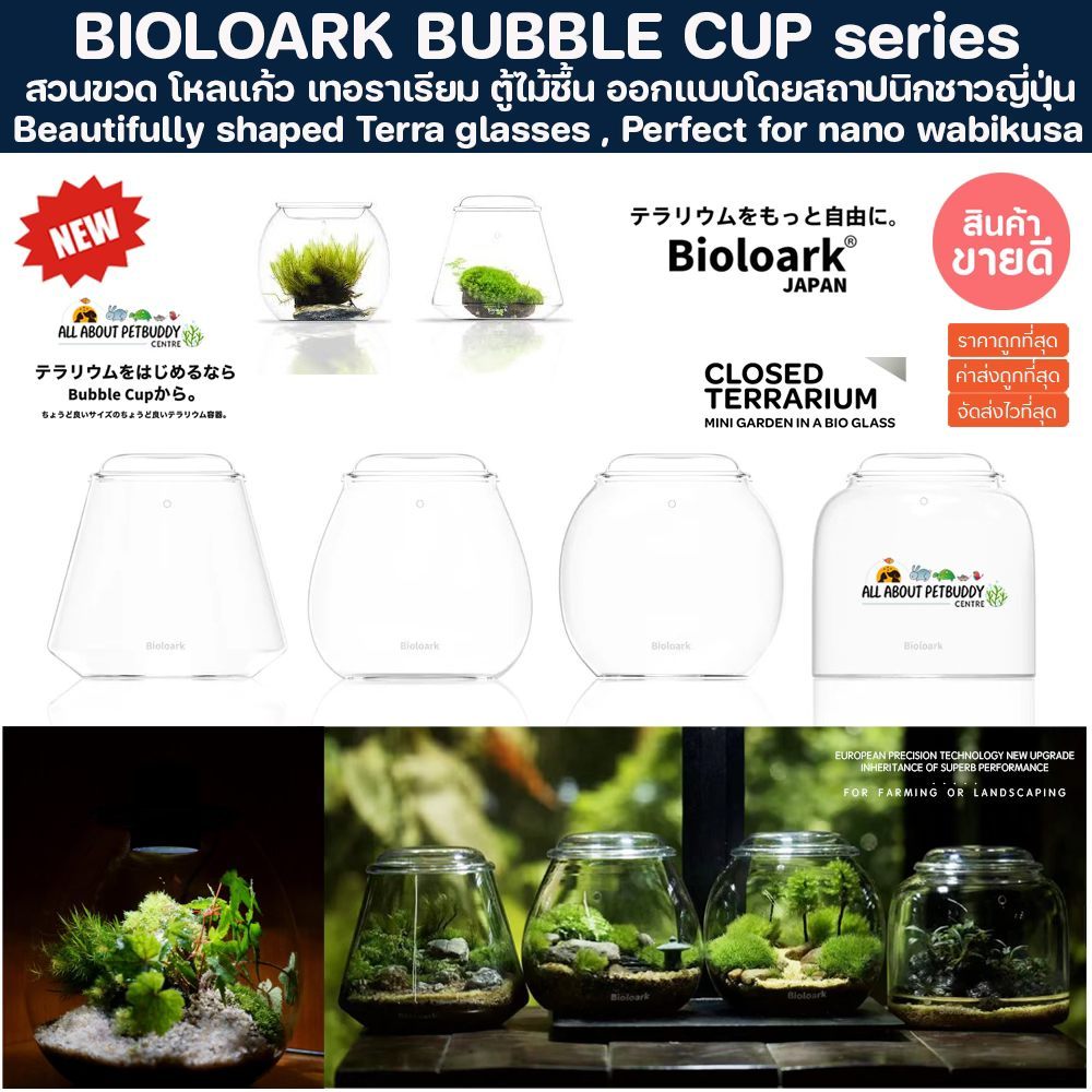 Bioloark Bubble Cup Mini Bio Bottle Terrarium จัดสวนในขวดแก้ว ขวดโดมแก้ว สวนขวด สวนจิ๋ว เทอทาเรี่ยม 