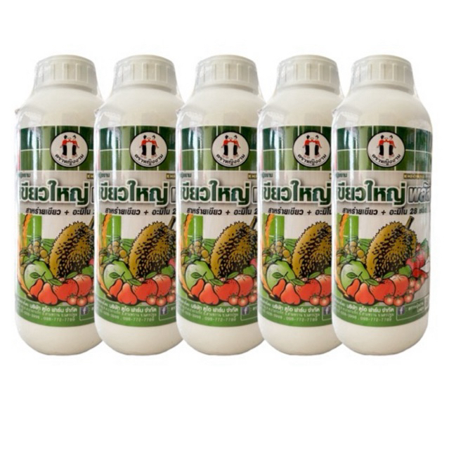 หญิงงามเขียวใหญ่พลัส 1 ลิตร (5 ขวด) สาหร่าย+อมิโน 28 ชนิด  เขียวใหญ่ ใบหนา