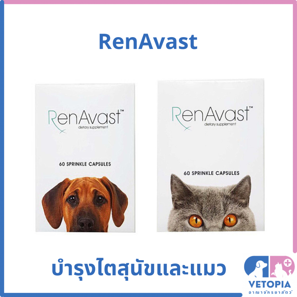 (1 กล่อง = 60 เม็ด) RenAvast วิตามินบำรุงไตสำหรับสุนัขและแมว