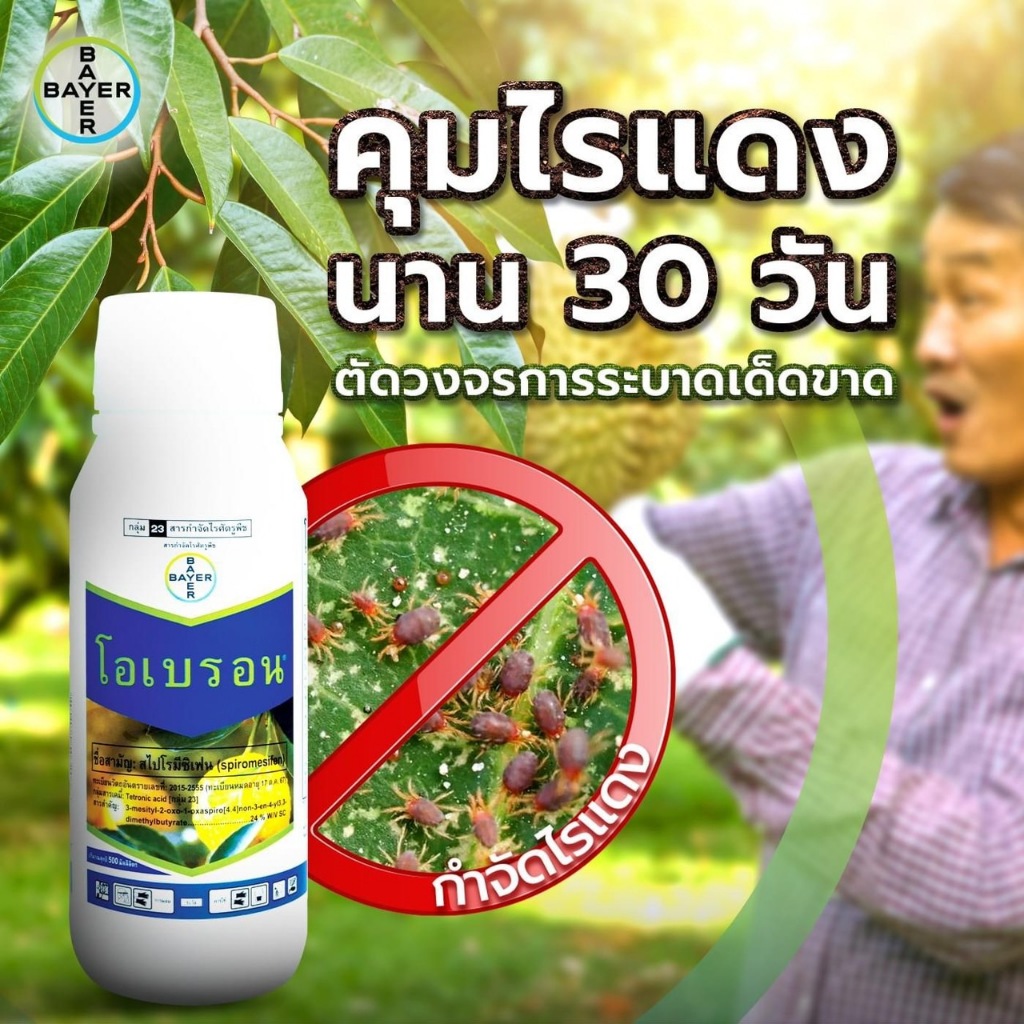 โอเบรอน 500 ซีซี สไปโรมีซิแฟน 24% W/V SC (Spiromesifen) ใช้ป้องกันกำจัดไรแดงแอฟริกันในมะนาว