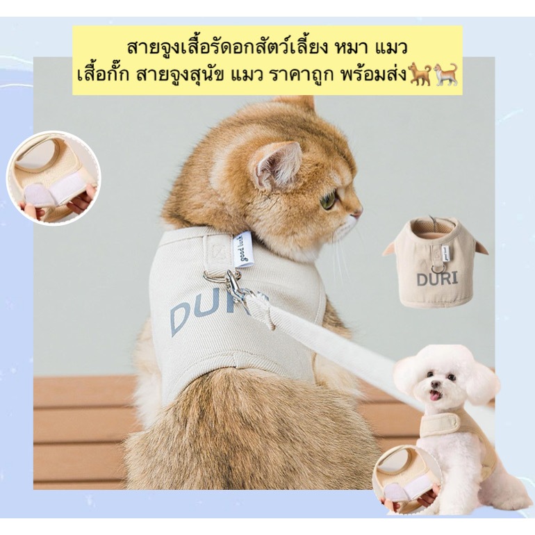 BN-509 เสื้อรัดอกพร้อมสายจูง สำหรับหมา แมว ใส่สบาย ระบายอากาศดี ราคาน่ารัก พร้อมส่ง 🐶🐱  💡 จุดเด่นสินค้า: 	•	ผ้าตาข่ายระบ