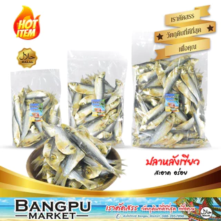 ปลาหลังเขียวแห้ง ถอดเกล็ด ปลากุแลตากแห้ง ปลาแดดเดียว ไร้เกล็ด (ตากแห้ง) ขนาดปานกลาง (ปลาหลังเขียวเค็ม ปลาเค็มไม่มีเกร็ด
