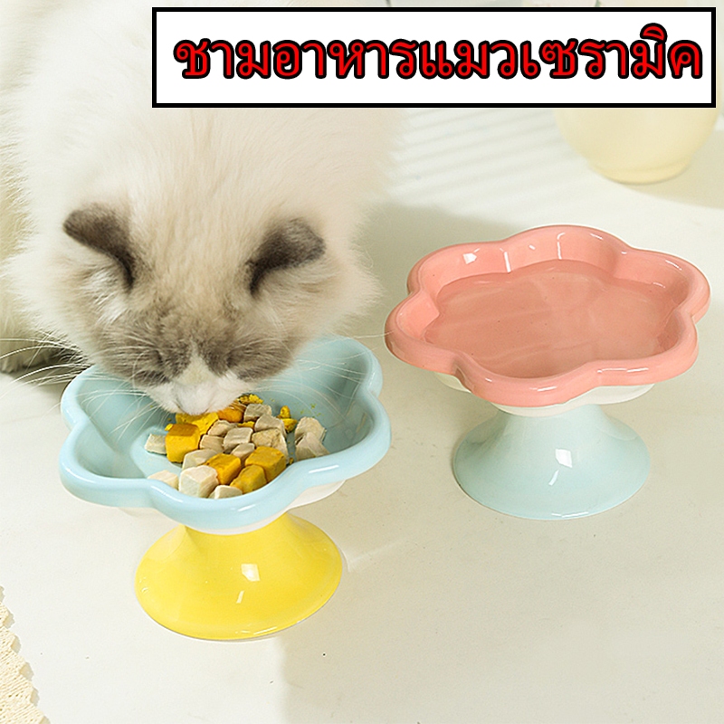 🐱 ชามอาหารแมวเซรามิค ป้องกันการพลิกคว่ํา ชามอาหารสัตว์เลี้ยง  น่ารักมาก สุนัข แมว อุปกรณ์ให้อาหารสัตว์ ชามสัตว์เลี้ยง