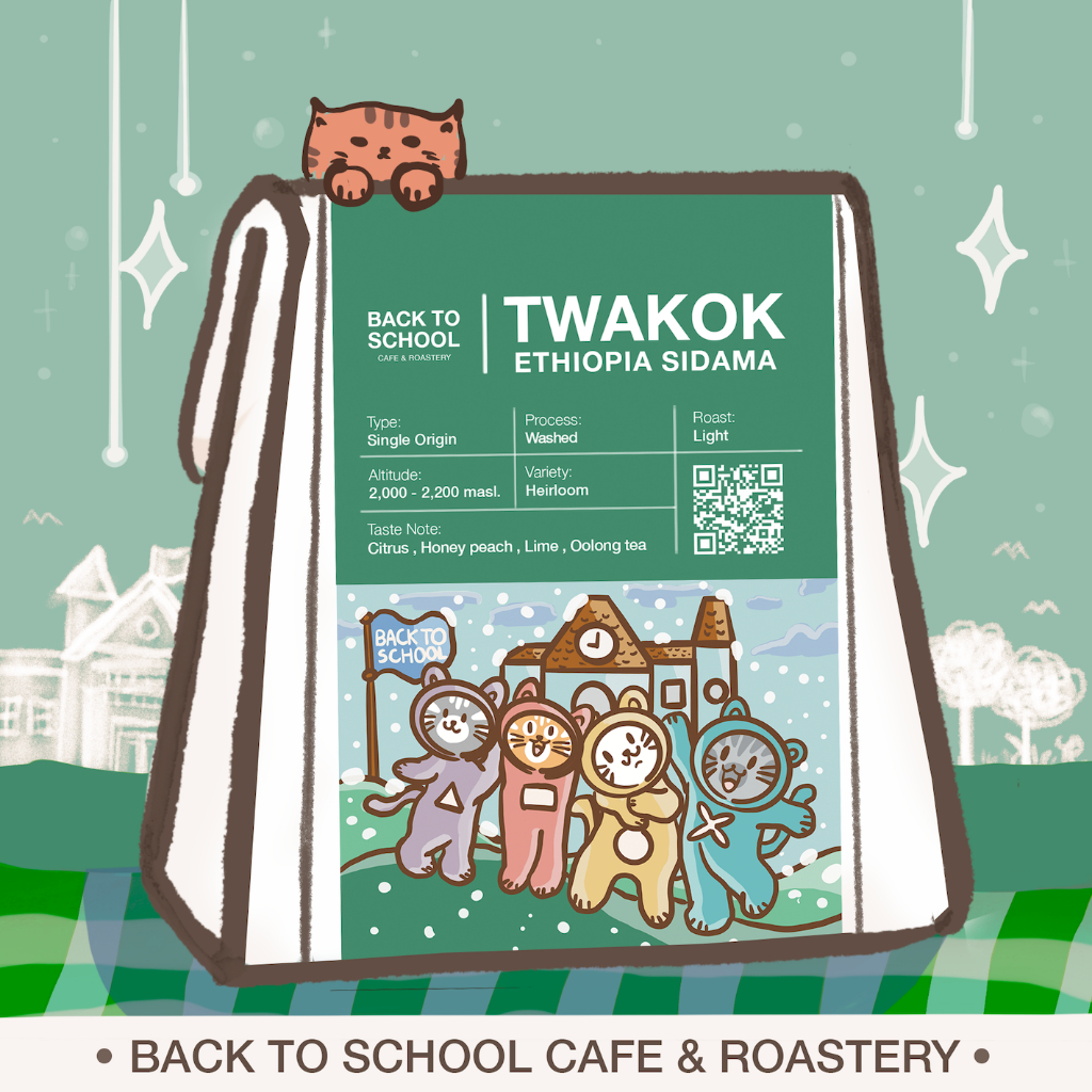 เมล็ดกาแฟคั่ว Ethiopia Sidama Twakok (Washed) - Light Roast