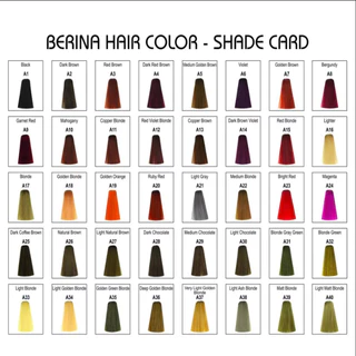 สีย้อมผม สีผมเบอริน่า Berina Hair Color A1-A47 ( 006 )