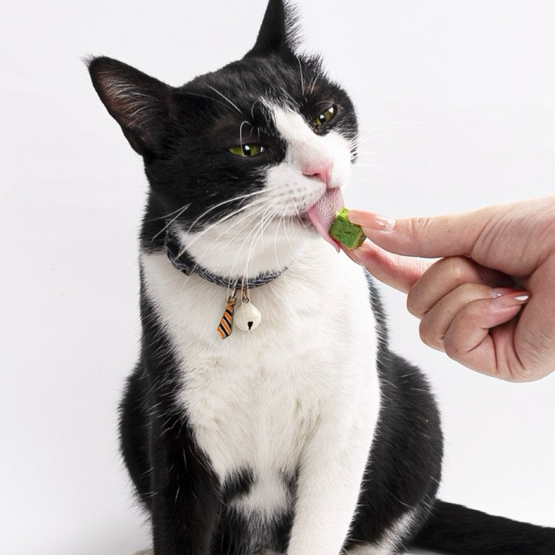 อกไก่ผสมหญ้าแมวฟรีซดราย [แพ็คสุดคุ้ม 1kg] Cat Treats เสริมวิตามิน ลดก้อนขน ขนมแมว หญ้าแมวผสมอกไก่ แซลมอน ตับไก่ ไข่แดง - รูปที่ 3