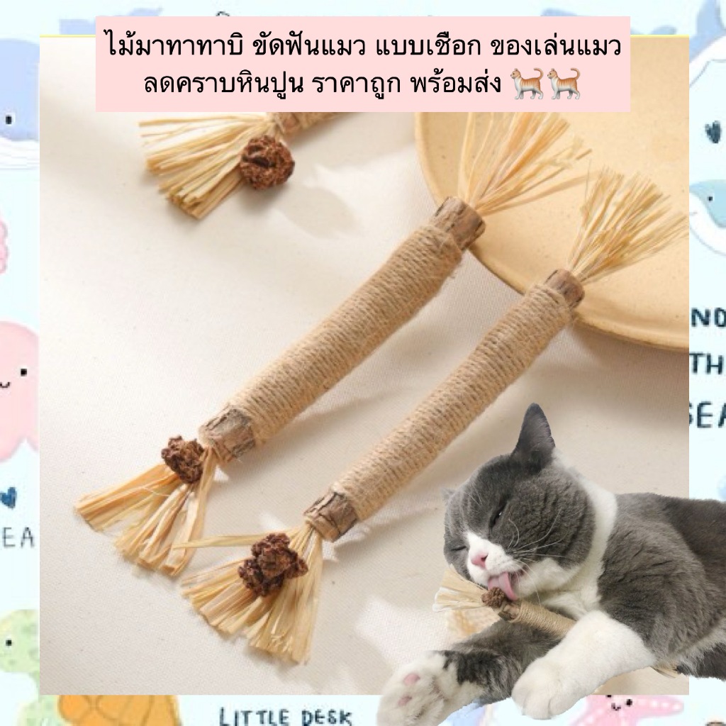 PP-522 ไม้มาทาทาบิขัดฟันแมว แบบเชือก ของเล่นแมวธรรมชาติ ลดคราบหินปูน กลิ่นไม่แรง ราคาสุดคุ้ม พร้อมส่ง! 🌿