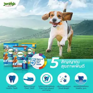 CatHoliday เจอร์ไฮ เดน-ที สติ๊ก JerHigh Den-T stick ขนมขัดฟันสุนัข ขนมสุนัข