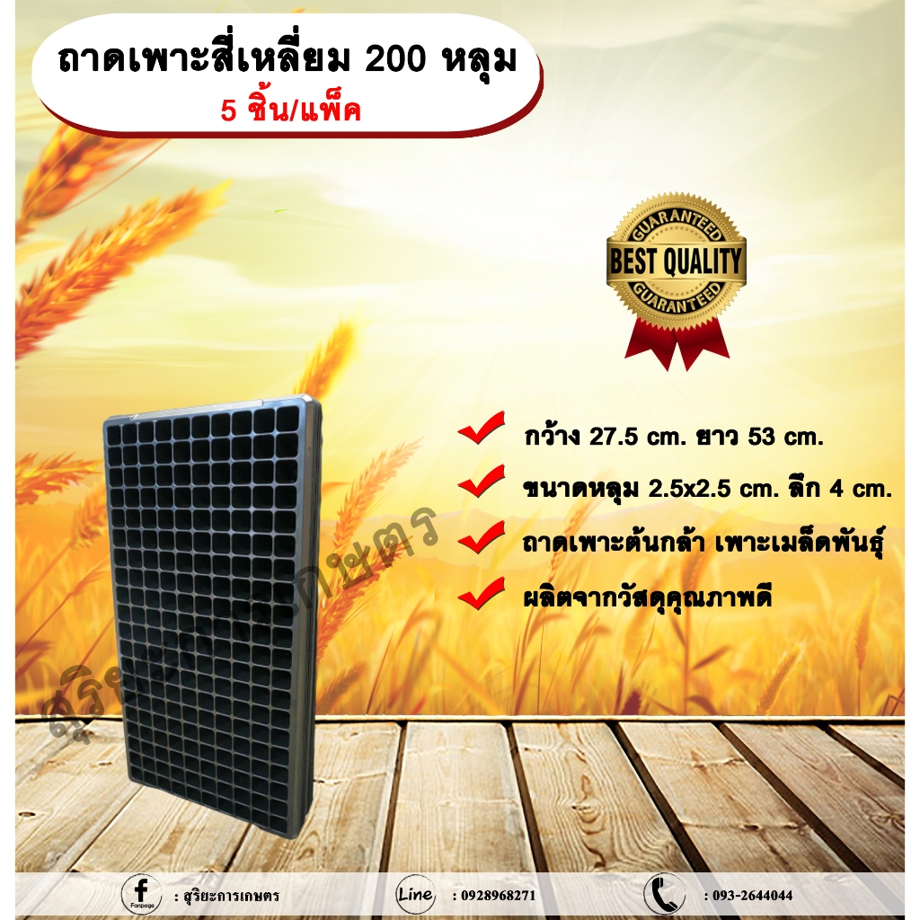 ถาดเพาะสี่เหลี่ยม 200 หลุม (5ชิ้น/แพ็ค) ถาดเพาะต้นกล้า ถาดเพาะเมล็ดพันธุ์ ขนาด 200 หลุม แบบสี่เหลี่ย