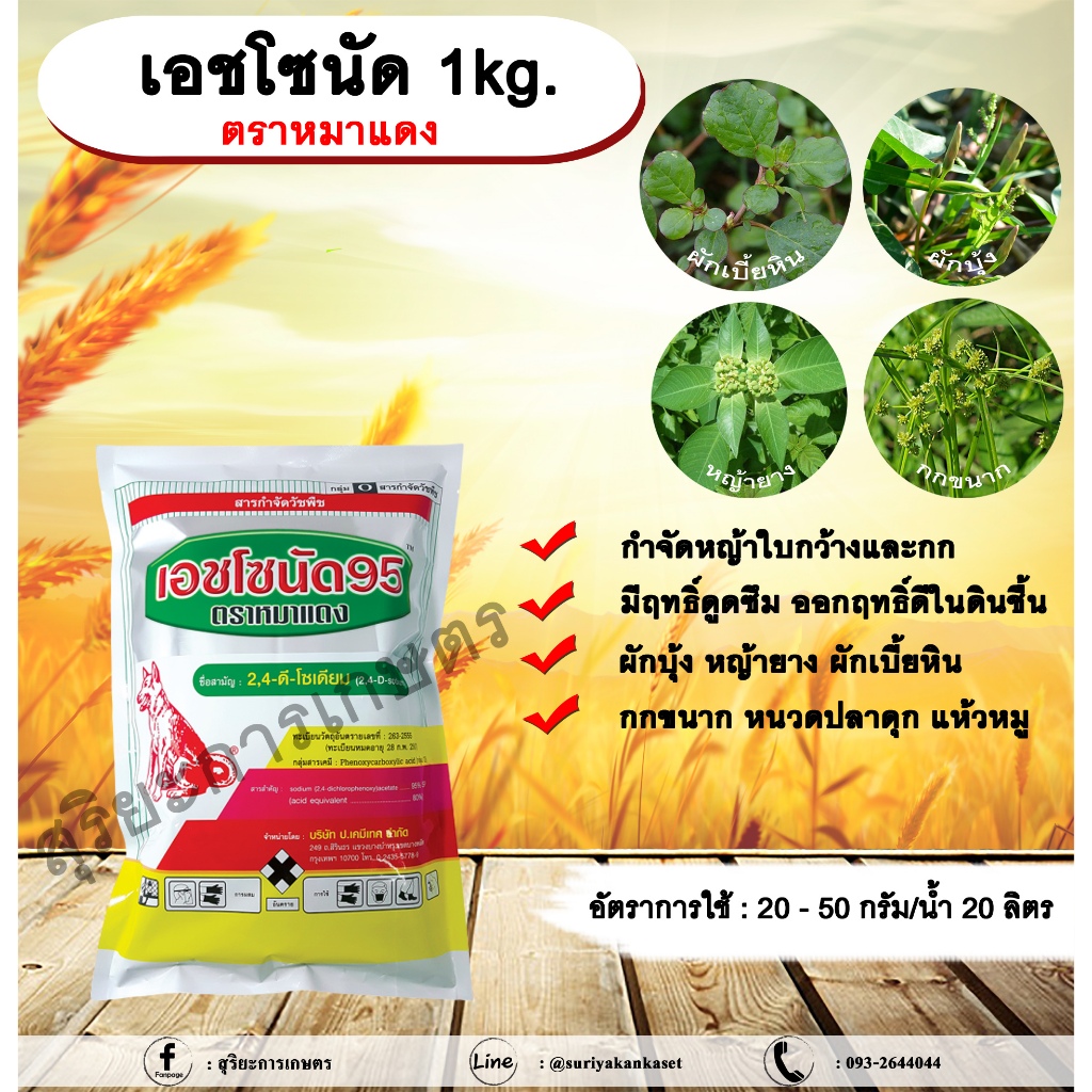 เอชโซนัด 1kg. ตราหมาแดง 24ดี โซเดียม หมาแดงผง ทูโฟดี กำจัดหญ้า แบบดูดซึม ใบกว้าง และกก กำจัดหญ้ายาง allaboutplants