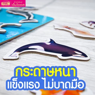MISBOOK หนังสือนิทาน พร้อมกระดานดึงออก-แปะติด ตีนตุ๊กแก Pull & Stick ภาพจริงและสัตว์ตาแป๋ว