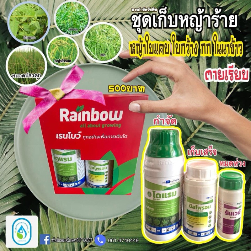 ชุดปราบหญ้าร้ายในนาข้าว 3พลังบวก หญ้าแก่ตายเรียบ ใบแคป,ใบกว้าง,กก
