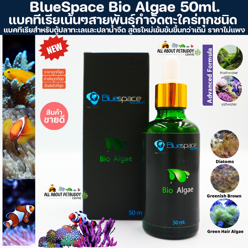 New Formula Bio Algae แบคทีเรียชนิดพิเศษ ที่ช่วยลดการเกิดตะไคร่ทุกชนิดในตู้ปลาทะเลและปะการัง สูตรใหม่เข้มข้นขึ้นกว่าเดิม