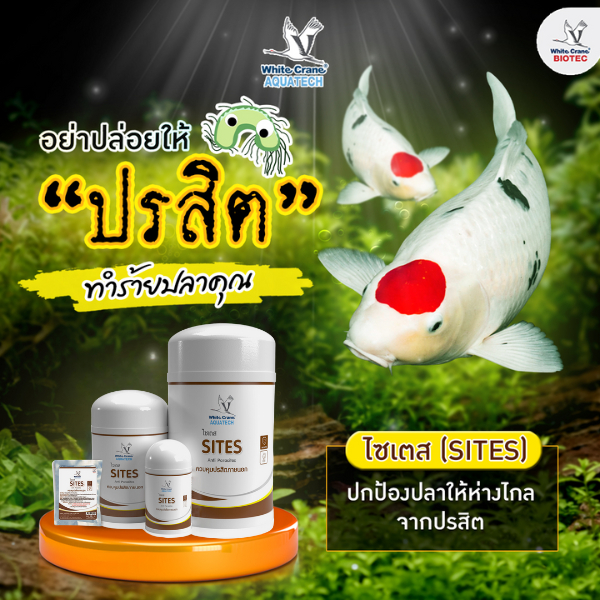 Sites ไซเตส ผลิตภัณฑ์สำหรับควบคุมพยาธิภายนอก ขนาด 1 กิโลกรัม