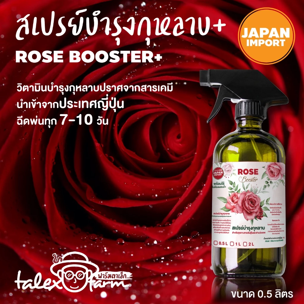 น้ำยาบำรุงกุหลาบ น้ำยานำเข้าจากญี่ปุ่น พร้อมใช้ไม่ต้องผสมน้ำ