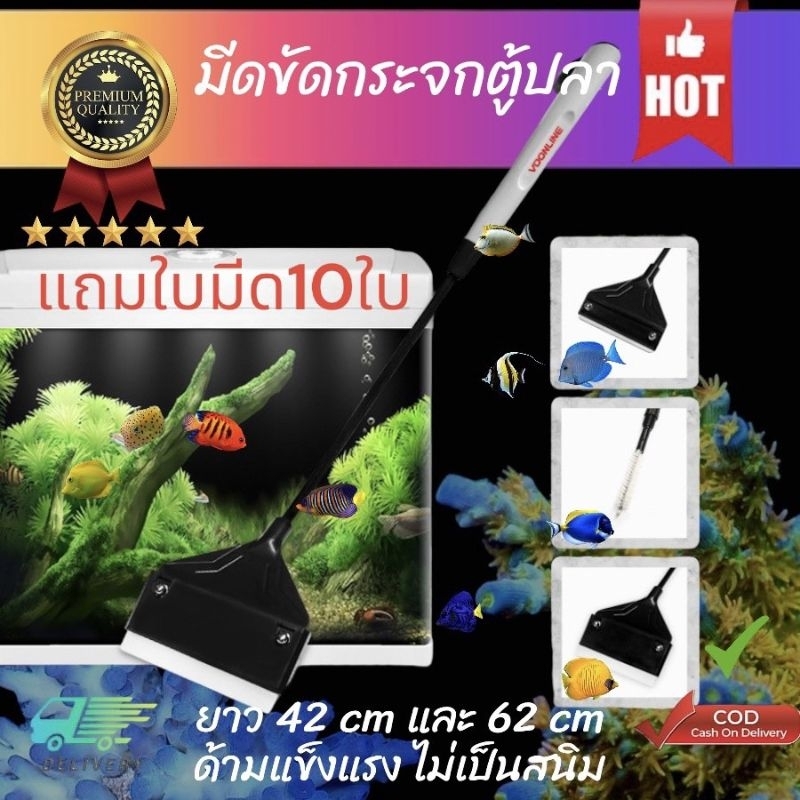 ที่ขัดตู้ปลา แบบใบมีด คมขัดง่าย แข็งแรง