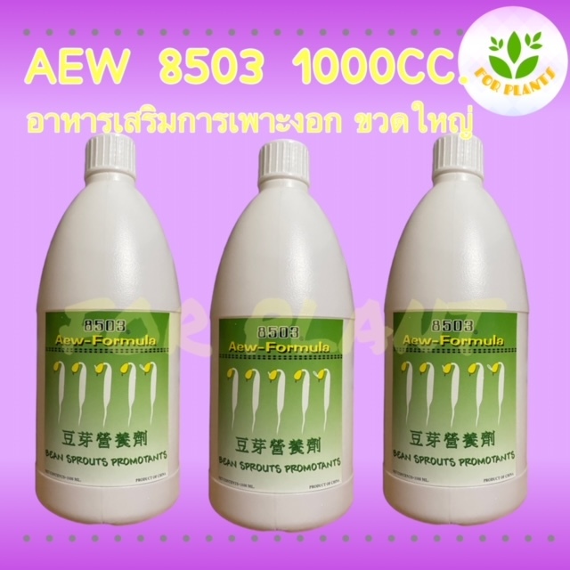เซตทรีโอ 8503 ฮอร์โมน8503 ขวดใหญ่ 1000มิลลิลิตร จำนวน 3 ชิ้น ฮอร์โมนถั่วงอก เพาะถั่วงอก ควรใช้คู่ 8503ขวดเล็ก ถั่วงอกอ้ว