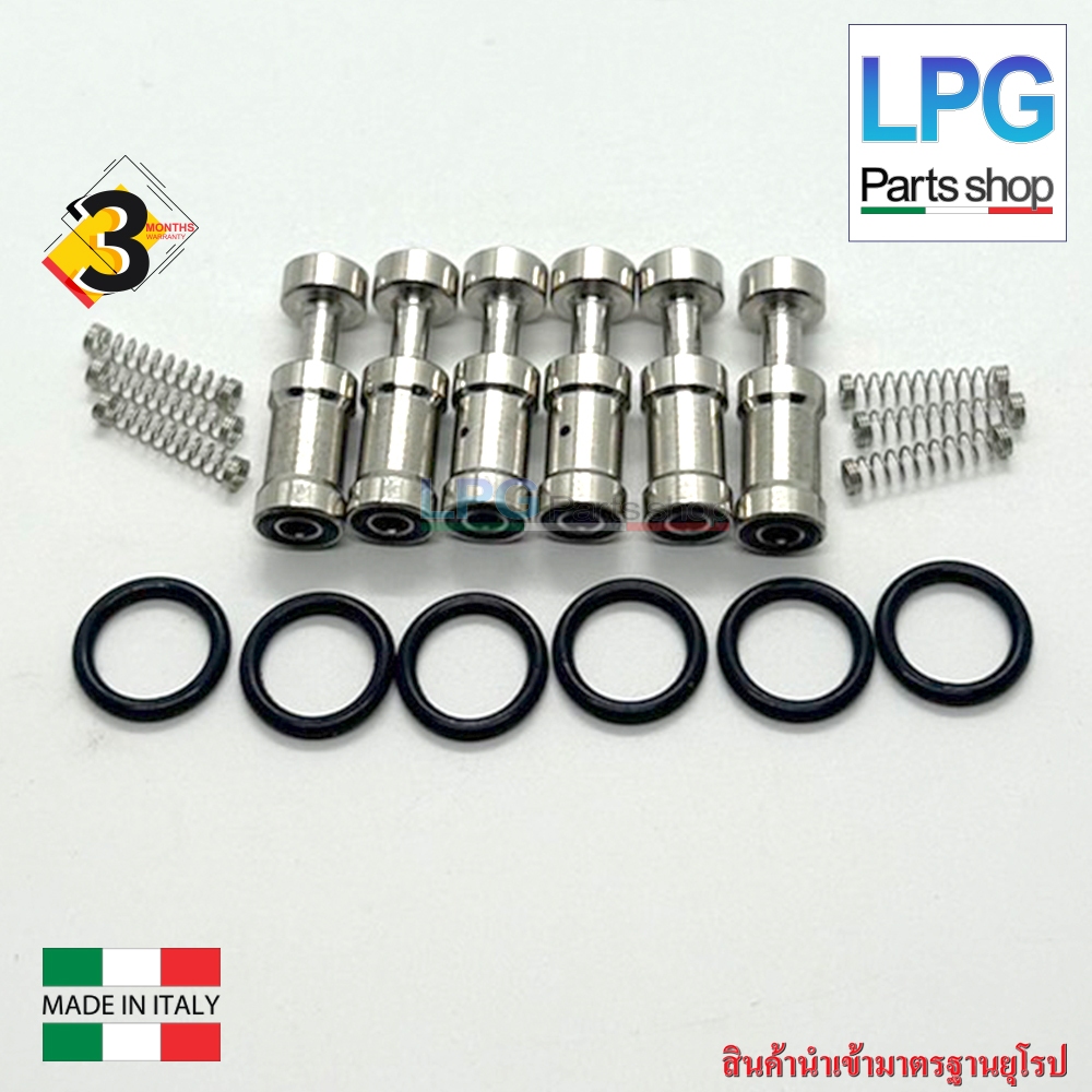 ชุดซ่อมรางหัวฉีด Energy Reform / Versus รางแดง/ Valtek Type 30