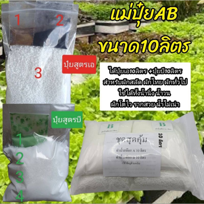 **10ลิตร**ชุดปุ๋ยผงเอบี ปุ๋ยไฮโดรโปนิกส์ ปุ๋ยAB  ปุ๋ยน้ำ ปุ๋ยเอบี ปุ๋ยผักสลัด ปุ๋ยผักHydroponics สูตรปรับปรุงใหม่