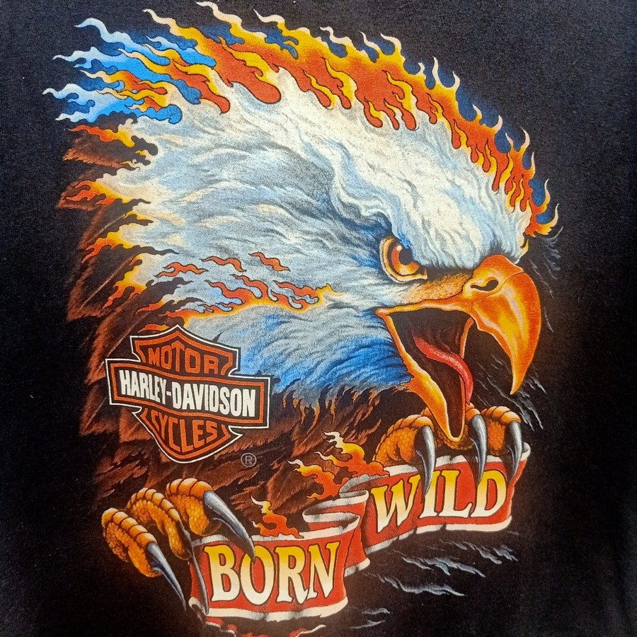 เสื้อยืดวินเทจ Harley Davidson Eagle Born Wild 90s Biker T-Shirt Sz XL