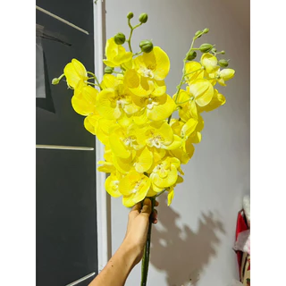 ดอกกล้วยไม้ ดอกฟาแลยผ้า (พร้อมส่งจากไทย)(ดอกกล้วยไม้1ก้าน บาน7+ตูม3 รวม10ดอกก้านยาว45ซม.)ดอกกล้วยไม้ง ดอกฟาแลน กล้วยไม้