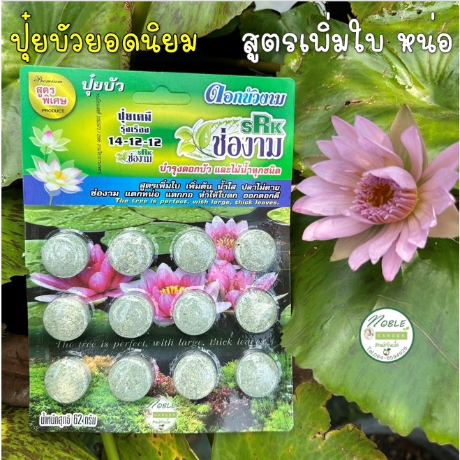 ปุ๋ยบัว ปุ๋ยดอกบัว ปุ๋ยไม้น้ำ ตรา ช่องาม สูตรเพิ่มใบ เพิ่มต้น แตกหน่อ ใบดก ปลอดภัยต่อสัตว์น้ำ