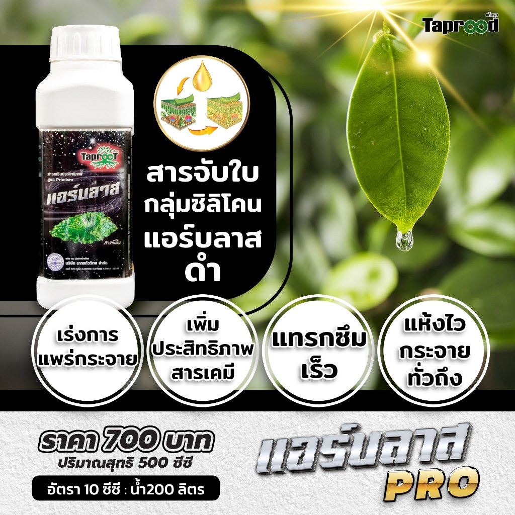แอร์บลาส สารเสริมประสิทธิภาพ  ยาจับใบ อัตราใช้น้อยคุ้มราคา ขนาด 500 ซีซี