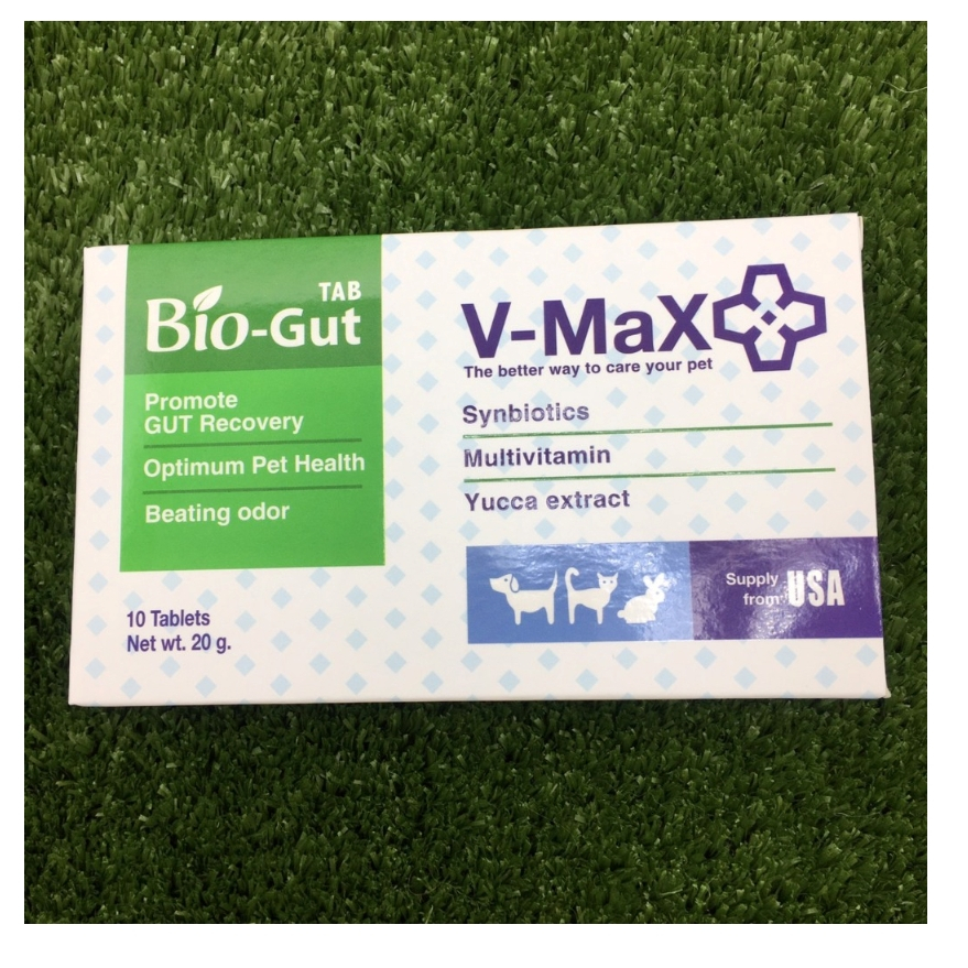 V-Max Bio-Gut ปรับสมดุลในระบบทางเดินอาหาร 10 เม็ด อาหารเสริม biogut