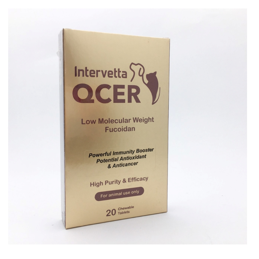 QCER ต้านมะเร็งสุนัข-แมว เสริมภูมิคุ้มกันให้สมดุลย์ อาหารเสริมสุนัขและแมว