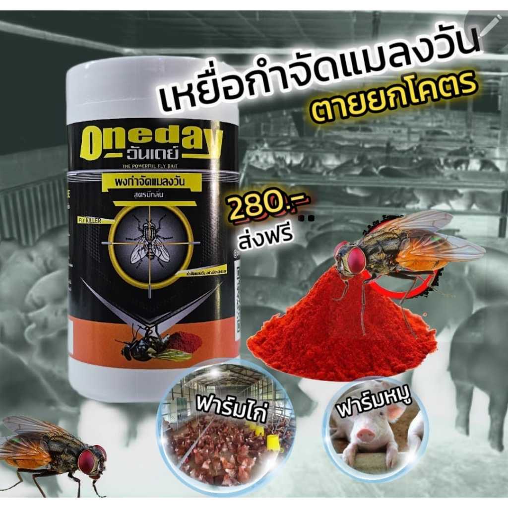 A1 กำจัดแมลงวัน วันเดย์ หมดปัญหาแมลงวัน