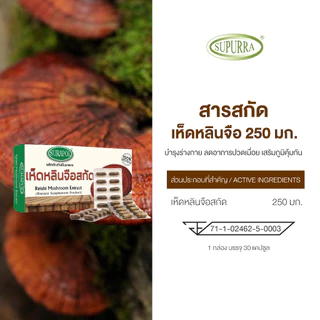 [1 เเถม 1 ]Dr.Surapol ผลิตภัณฑ์อาหารเสริม เห็ดหลินจือสกัด 250 มิลลิกรัม ตรา ดร.สุรพล [C47]