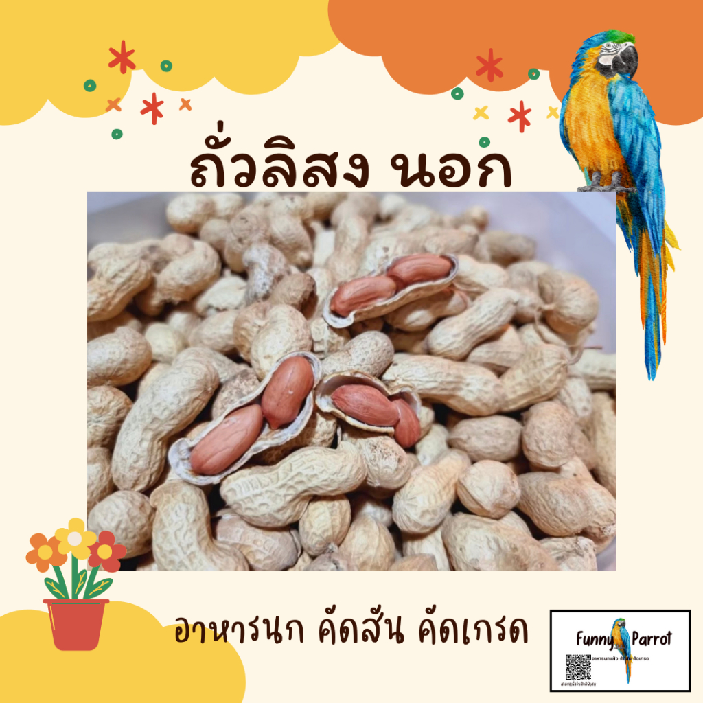 ถั่ว อบแห้ง สำหรับนกแก้วขนาดกลางและใหญ่นกชอบมากขอบอกต้องลองถึงรู้คะสัตว์ฟันแทะก็ชอบคะ