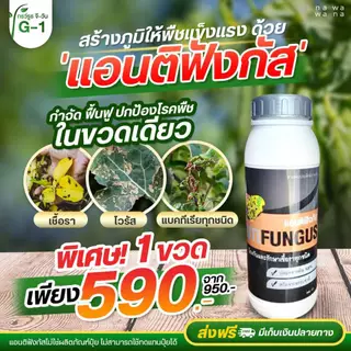 แอนติฟังกัส (โปร 1 ขวด) สารป้องกันและกำจัดเชื้อรา