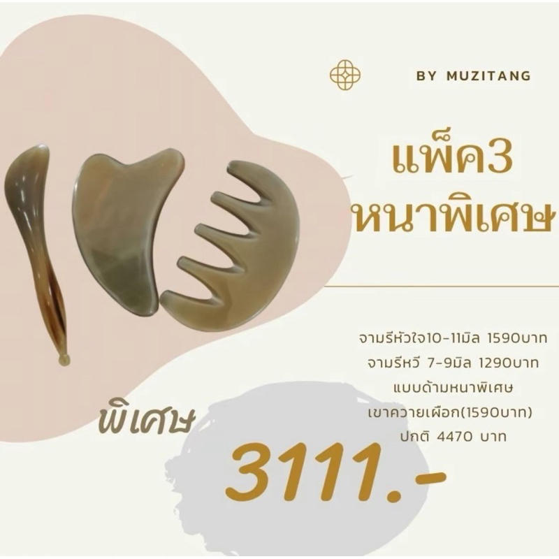 กัวซาเขาสัตว์สุดคุ้ม 3111