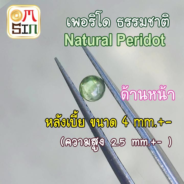 A322 4 มิล+- หลังเบี้ย กลม พลอยแท้ เพอริโด Natural Peridot สีเขียว พลอยสด หลังเต่า ไม่เผา ธรรมชาติแท้