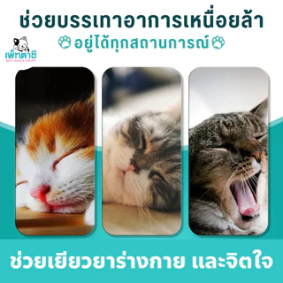 Oimmal ลดดุ ลดขู่ ลดซึม ลดเครียด สำหรับแมว วิตามินเม็ด อาหารเสริม แบบนิ่ม