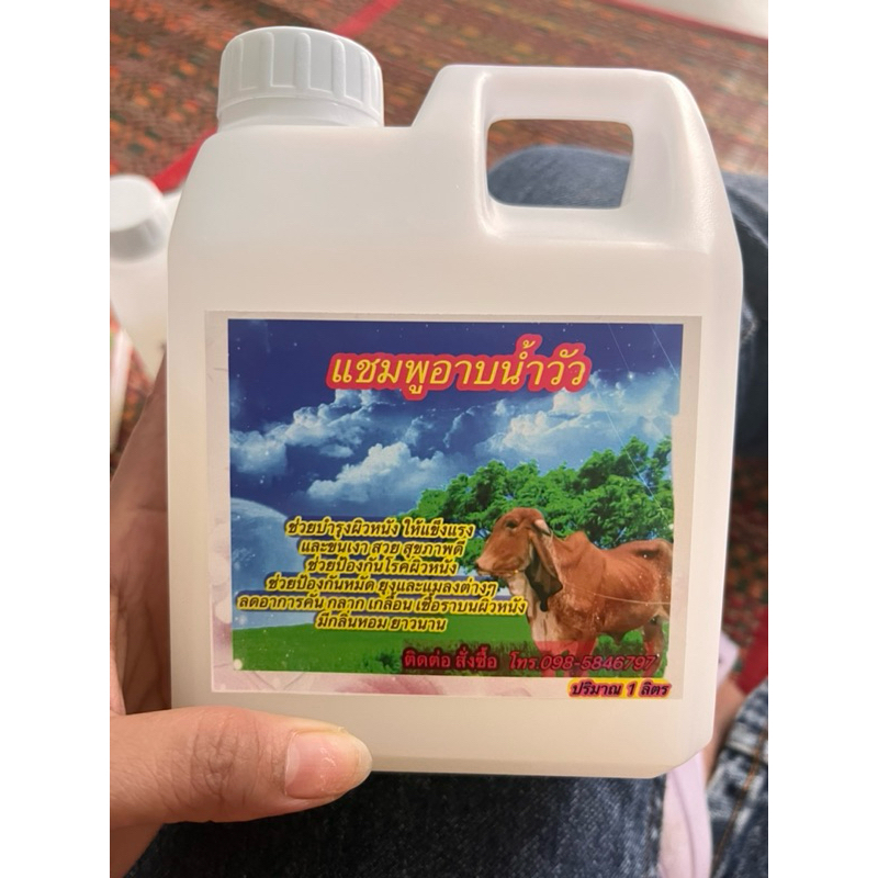 แชมพูสูตรสำหรับอาบน้ำวัว