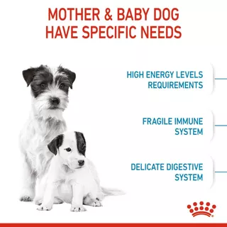 Royal Canin Mini Starter 3kg สำหรับ แม่สุนัข ตั้งท้อง และ ลูกสุนัข พันธุ์เล็ก 3 kg / 1kg. มี 2 ขนาด