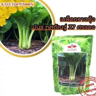 กวางตุ้งต้น ทศกัณฐ์ 37 เมล็ดพันธุ์ 500 ก. ตรา ศรแดง