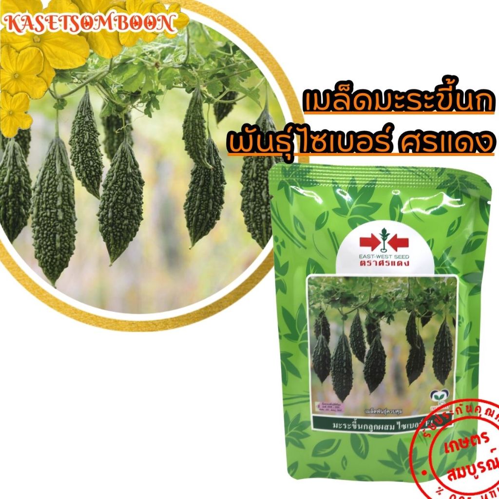 เมล็ดมะระขี้นก พันธุ์ ไซเบอร์ 20 / 100 ก. ตรา ศรแดง ผิวเขียวเข้ม ทนโรค ราแป้ง และไวรัส