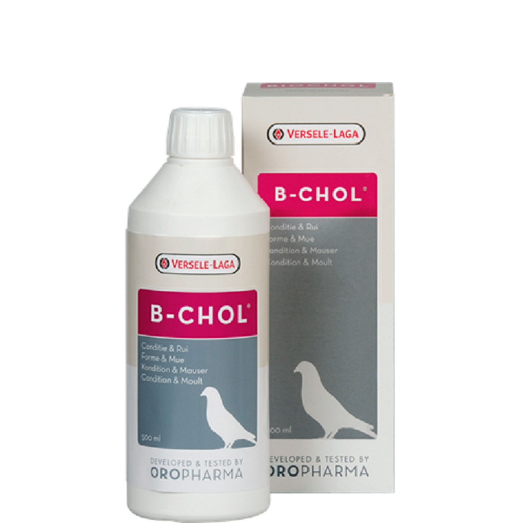 B-Chol บีโคล กระตุ้นผลัดขน ปรับสภาพขนขึ้นใหม้ให้สวยงาม ถ่ายเทของเสีย ออกจากร่างกาย แพ็คเก็จ 500 ml.